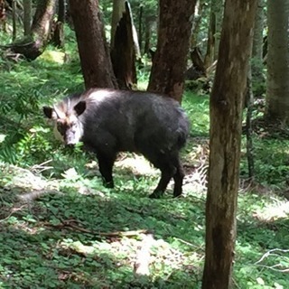 【東海地方】登山仲間募集
