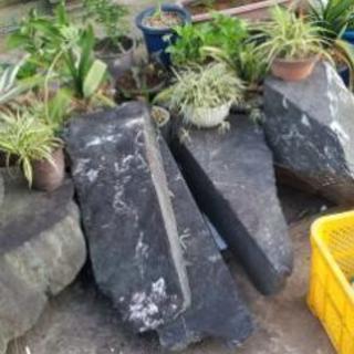 庭石の画像