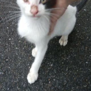 職場で保護しました