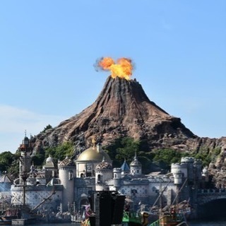 Dグル募集