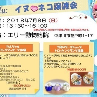 いぬ・ねこ譲渡会