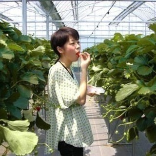 【夏休み一気に30万～】リゾートバイト！寮・食0円でお小遣いGET～♪おすすめの伊勢志摩へGO～！！の画像