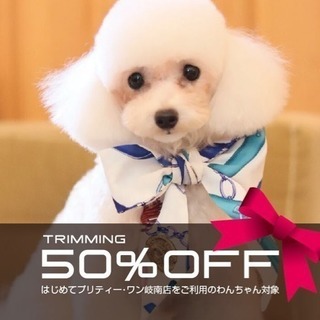 【岐南・各務原】初回トリミング50％OFF