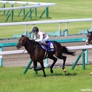 【初心者歓迎】競馬のグルチャ参加しませんか！【7/8〜予想大会開催！】