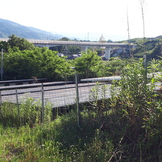 草刈り一緒にしていただける方いませんか？(和歌山県橋本市隅田町で)の画像