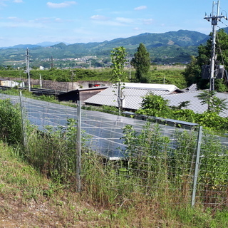 草刈り一緒にしていただける方いませんか？(和歌山県橋本市隅田町で)の画像