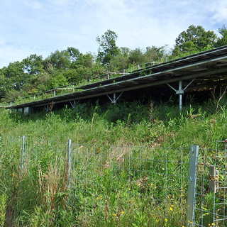 草刈り一緒にしていただける方いませんか？(和歌山県橋本市隅田町で)の画像