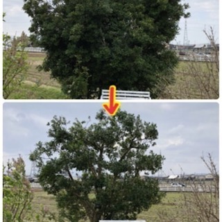福岡 格安防草シート施工 草刈り　植木の伐採 草取り 草刈り砂利敷き 綺麗なまさ土入れ替え整地  砕石駐車場　ロープ駐車場　ブロックはつり解体撤去 − 福岡県