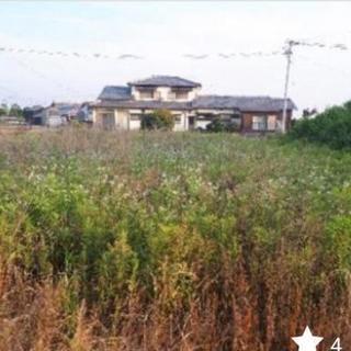 草刈り後の収集作業の画像