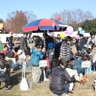 浅草でコワーキングスペースの立ち上げメンバー募集中！「地域の子供たちが、未来のはたらくカタチを描ける社会」を共に実現する - メンバー募集