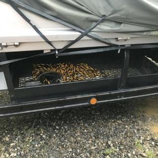 H18年式！キャンター！車検付き！積載4000㎏！？の画像