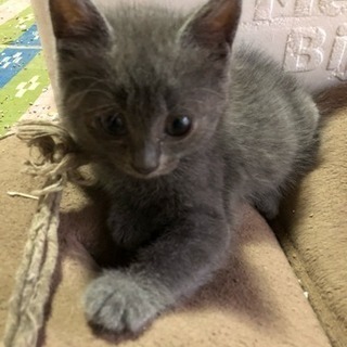 可愛がってくださる方