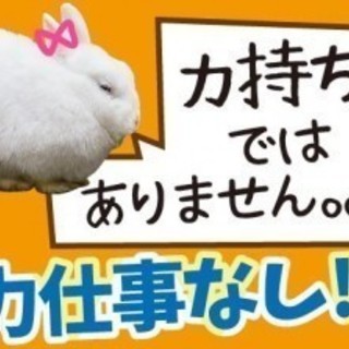 【静岡市･駿河区・派遣】急募/週休2日！未経験ＯＫ！男女活躍中！週払いOK！扱うものは重量物少なめで安心！ 面接交通費実費支給します!!(※規定あり)の画像