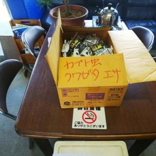 来場者プレゼント！