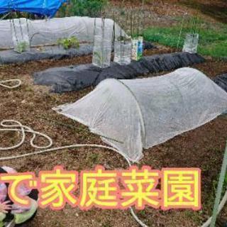 貸し農園 2019年open 限定募集 早い者勝ち