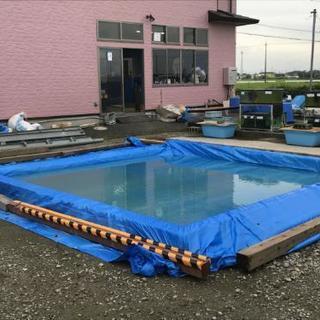 ジャブジャブ池無料解放