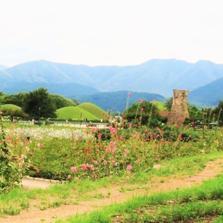 韓国南部、世界遺産を回り、ローカル列車の旅を語りませんか？