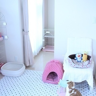 猫カフェに併設のキャットホテルがオープンしました♡♡ご旅行や冠婚葬祭等で留守になり、猫を預けたい。でも狭いケージはかわいそう・・・という方、。愛猫ちゃんを安心して預けていただけるホテルがオープンしました♡ - 長野市