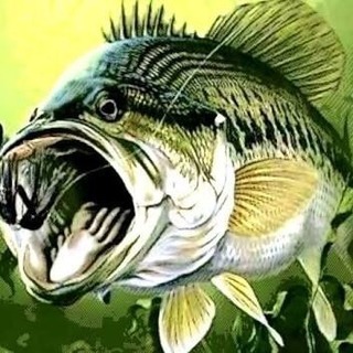 ルアー釣りやっている方！