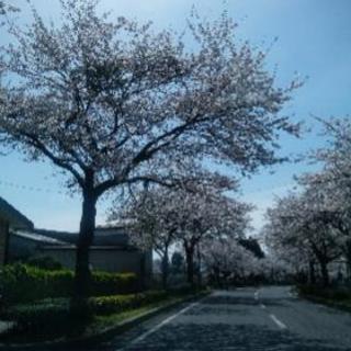 ❇東北ママパパ（シングル）募集❇