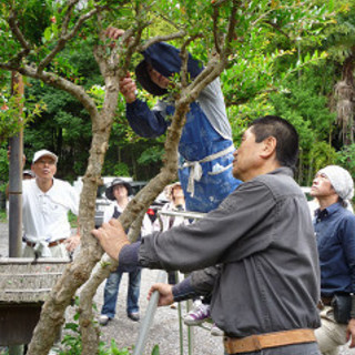 庭師見習い、造園業未経験者でも、元気、やる気、根性があれば大歓迎!!の画像