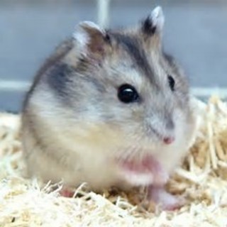 YouTuberさん募集！これからYouTuberになりたい方もぜひ！