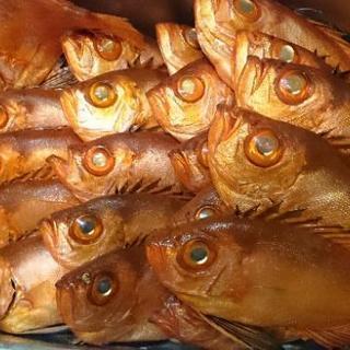 船釣り行きませんか  【平日】 − 東京都