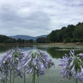 御朱印⛩橿原神宮＆長山稲荷神社行きました