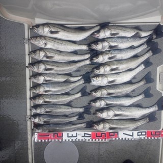 ボートから釣してみませんか　 - 名古屋市