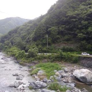山売ります　和歌山市　橋本　百坪～一万坪