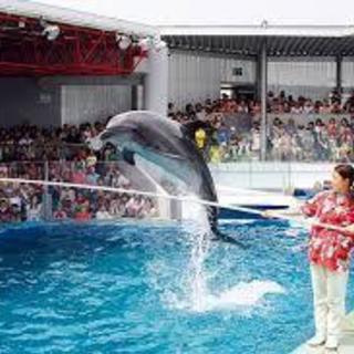 11/24日　11:00～ 42～58歳 しながわ水族館散策
