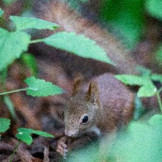 写真・カメラグループの新規メンバー募集！