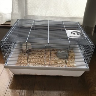 ハムスター、小動物のゲージの画像