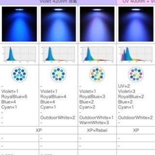 新Grassy LeDio RS122 RDVの画像
