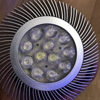 新Grassy LeDio RS122 RDVの画像