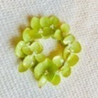 フラワーレジンのアクセサリー一日体験教室の画像