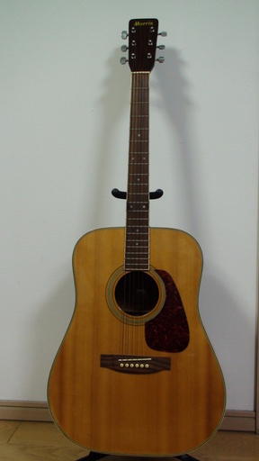 アコースティックギター★Morris/モーリス★MD50★おまけ新品ピック２個