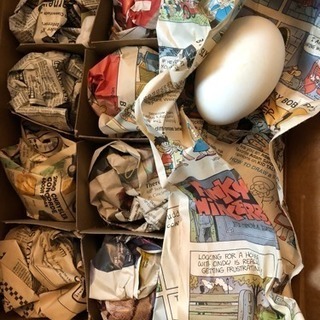 エッグシェル Emu ダチョウの卵の殻の画像