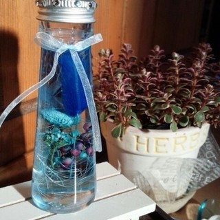 夏休みの自由製作にハーバリウムを作りませんか？【割引期間中です】
