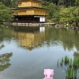 京都においでやす！ポケモンgoで交換しましょう！