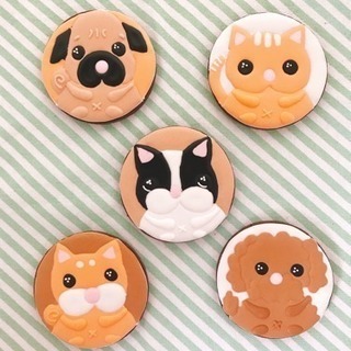 可愛いアニマルキャラクター アイシングクッキーレッスン