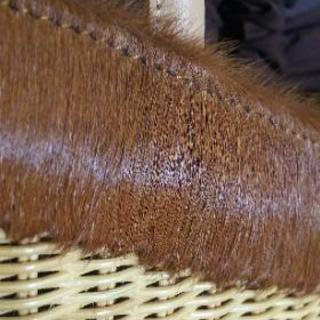 カゴバッグの画像