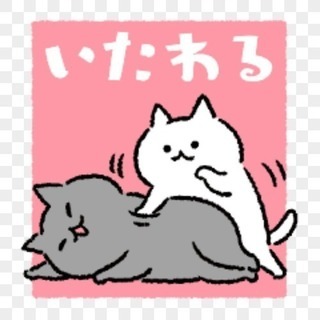 カットモデル募集してます