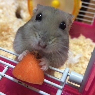 ペット可のマンション✩