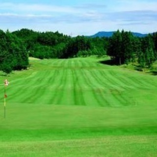 平日ゴルフ仲間募集🏌🏿‍♂️