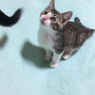 手足むくむく丸顔男の子☆（3ヶ月前）