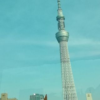 庭の草むしり
