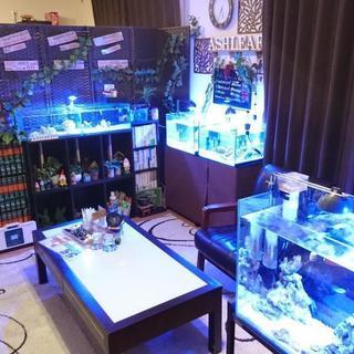 カウンセリングルームですが　タロット占い・パワーストーン販売・ブ...