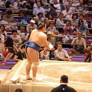 【無料】7/18(日)大相撲名古屋場所千秋楽 椅子A東13列1枚(1人)の画像