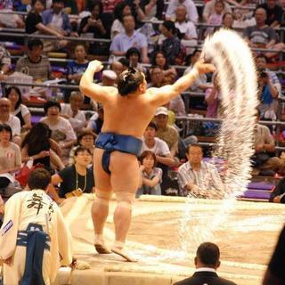 【無料】7/18(日)大相撲名古屋場所千秋楽 椅子A東13列1枚(1人)の画像